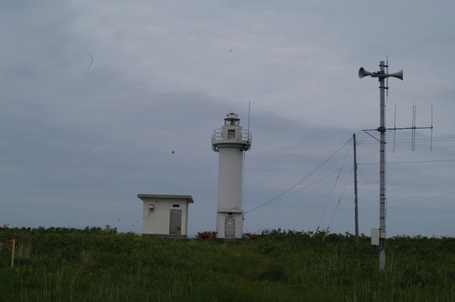 s_DSC_1924