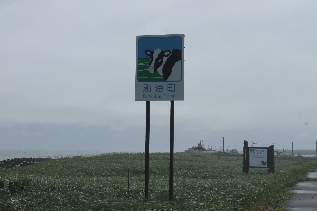 s_IMG_9126