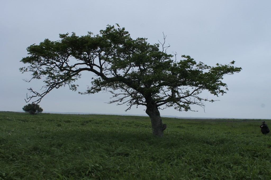 s_IMG_9208